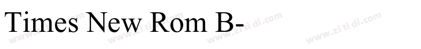 Times New Rom B字体转换